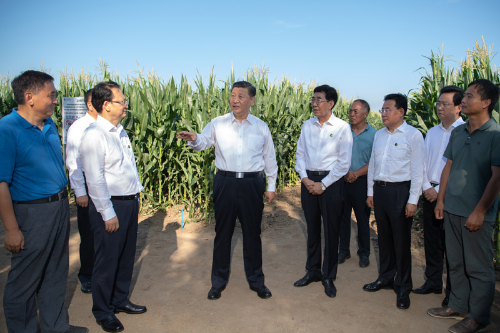 7月22日至24日,中共中央总书记、国家主席、中央军委主席习近平在吉林省考察。这是7月22日下午,习近平考察四平市梨树县国家百万亩绿色食品原料(玉米)标准化生产基地核心示范区地块。新华社记者 燕雁 摄