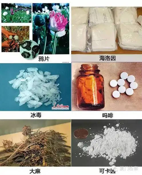 1.传统毒品.jpg