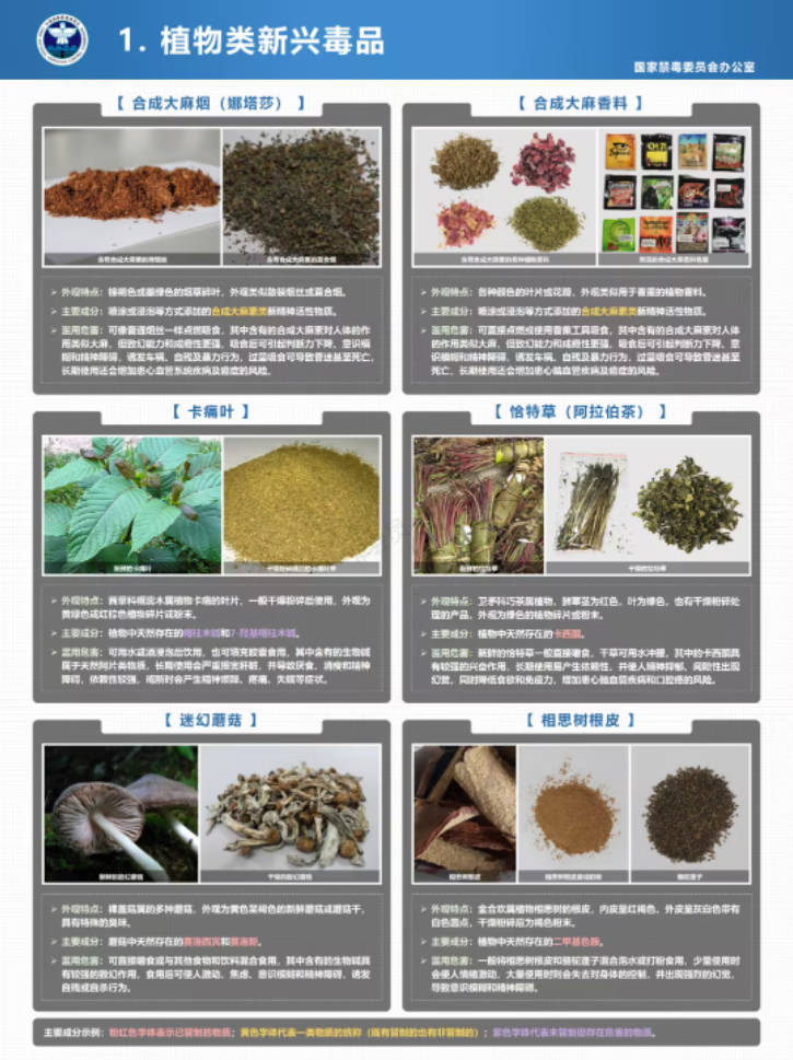 2.植物类新兴毒品.jpg