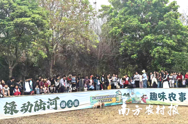 图片 6.png