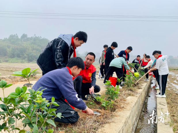 新丰小手拉大手植树。