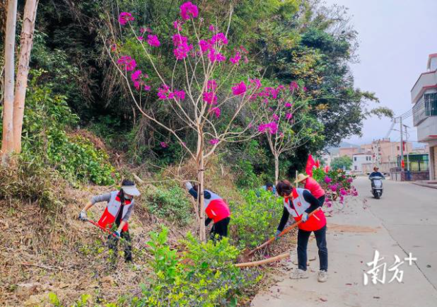 党员、志愿者植树。
