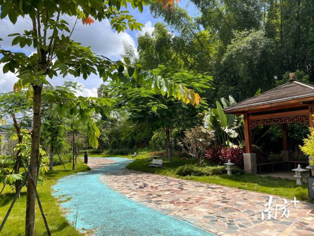 鸡坑村村头小公园。