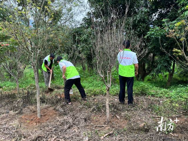 党员护绿队开展工作。